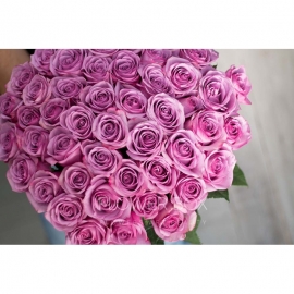 51 роза фиолетового оттенка