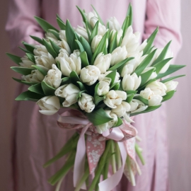 Охапка белых тюльпанов перевязанные лентой